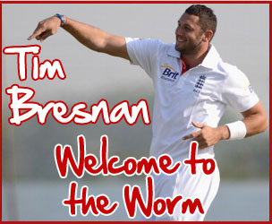 Team Woodworm