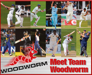 Team Woodworm