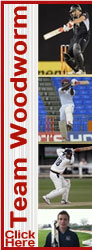 Meet Team Woodworm